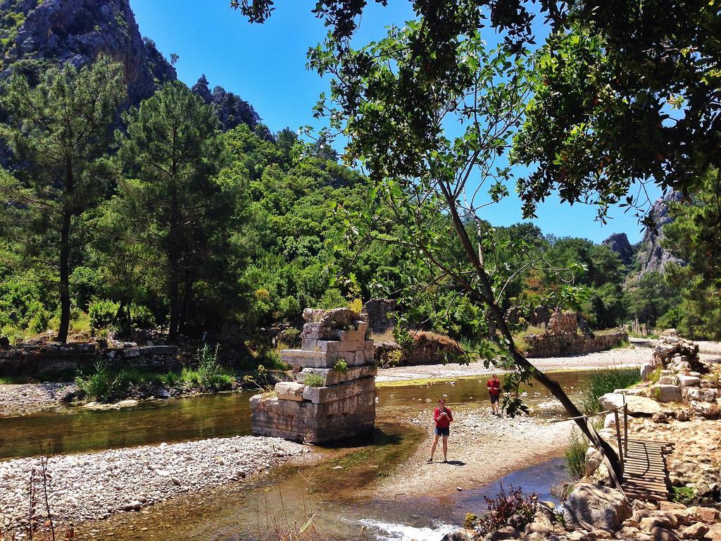 Kadir'S Top Tree Houses Olympos Exterior foto