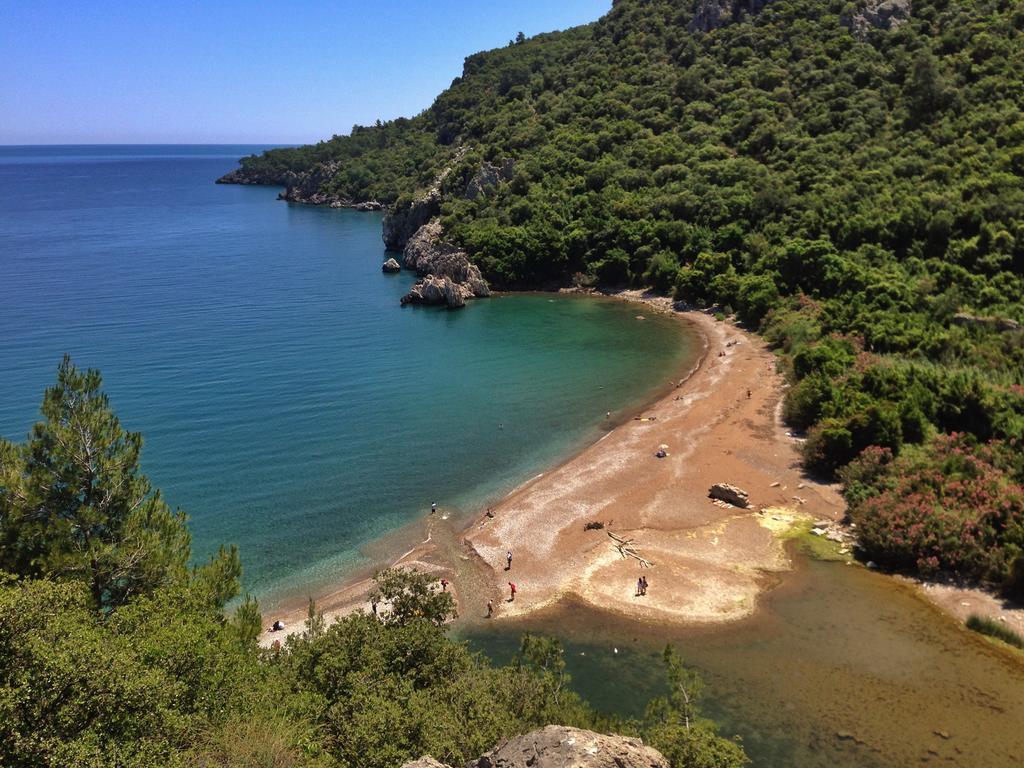 Kadir'S Top Tree Houses Olympos Exterior foto