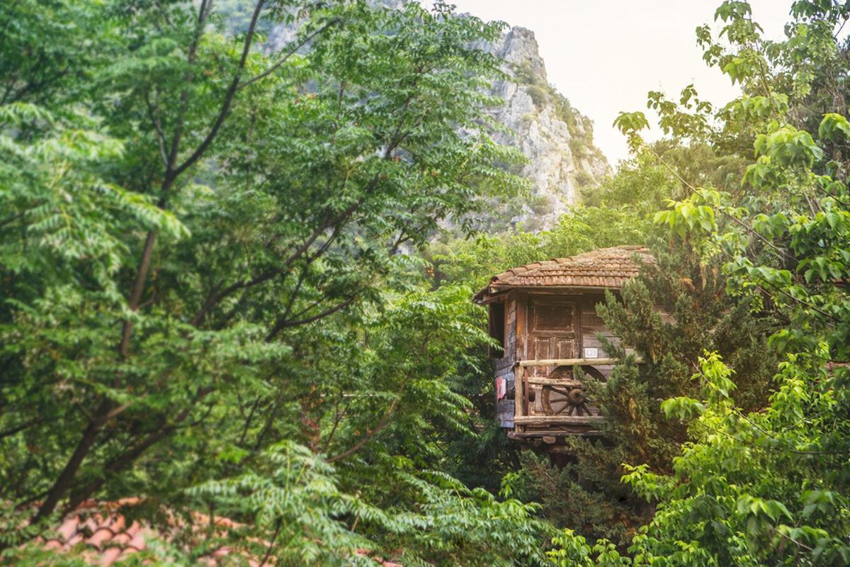 Kadir'S Top Tree Houses Olympos Exterior foto