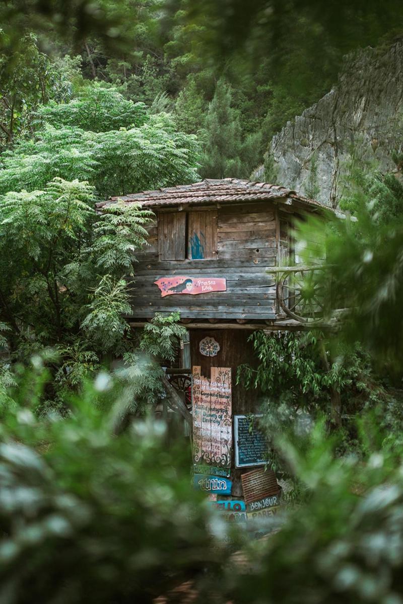 Kadir'S Top Tree Houses Olympos Exterior foto