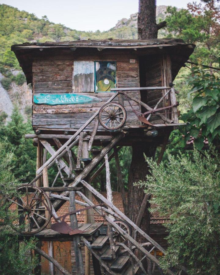 Kadir'S Top Tree Houses Olympos Exterior foto