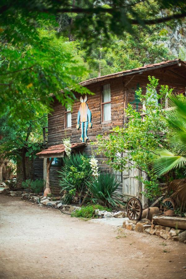 Kadir'S Top Tree Houses Olympos Exterior foto