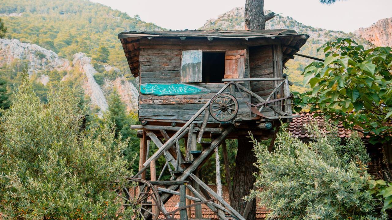 Kadir'S Top Tree Houses Olympos Exterior foto